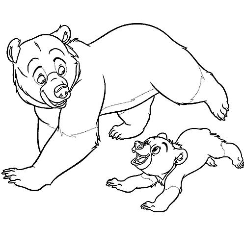coloriage freres des ours courent